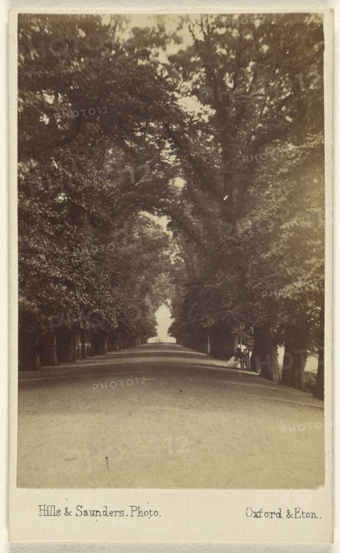 Ch:ch Long Walk; Hills & Saunders, British, active about 1860 - 1920s, May 1, 1866; Albumen silver print