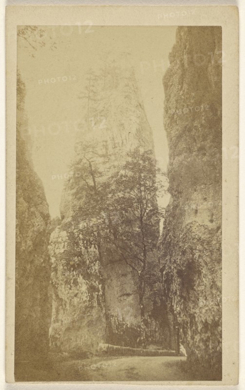 View near St. Remo; Davanne & Aléo; 1865 - 1867; Albumen silver print