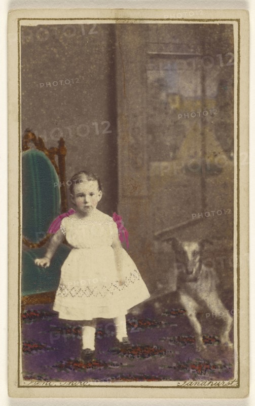 little girl standing with a dog on the floor next to her; Bent, British, active 1860s, 1865 - 1875; Hand-colored albumen silver