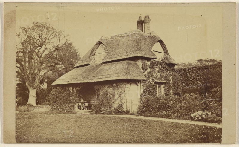 Exterior view of Oak Cottage, Blaise Hamlet; 1867; Albumen silver print