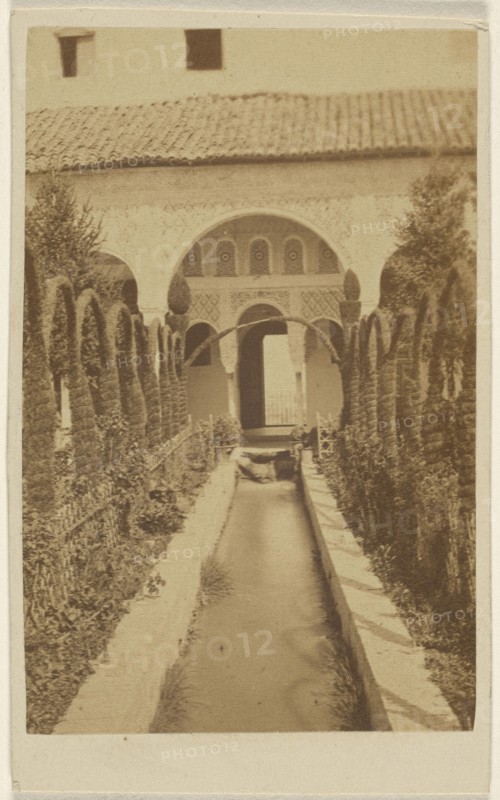 Garden view with path, the Alhambra; 1870 - 1875; Albumen silver print