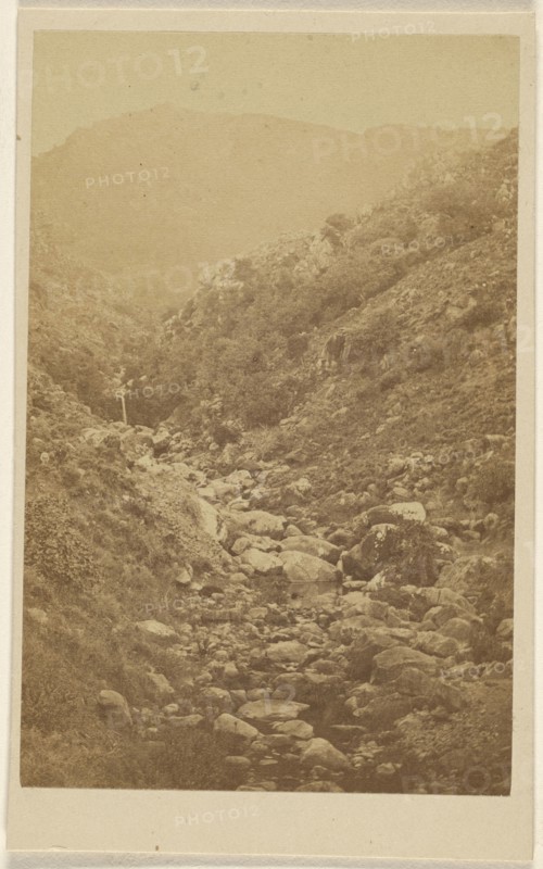 View of an  rocky mountains and valley; 1867 - 1870; Albumen silver print