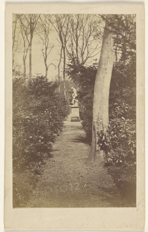 Newstead Abbey. Long walk; A.W. & H. Cox; October 24, 1865; Albumen silver print