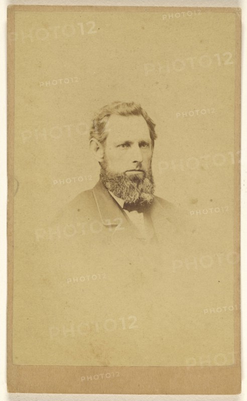 bearded man, printed in vignette-style; C.E. Edwards, American, active 1860s, 1865 - 1875; Albumen silver print
