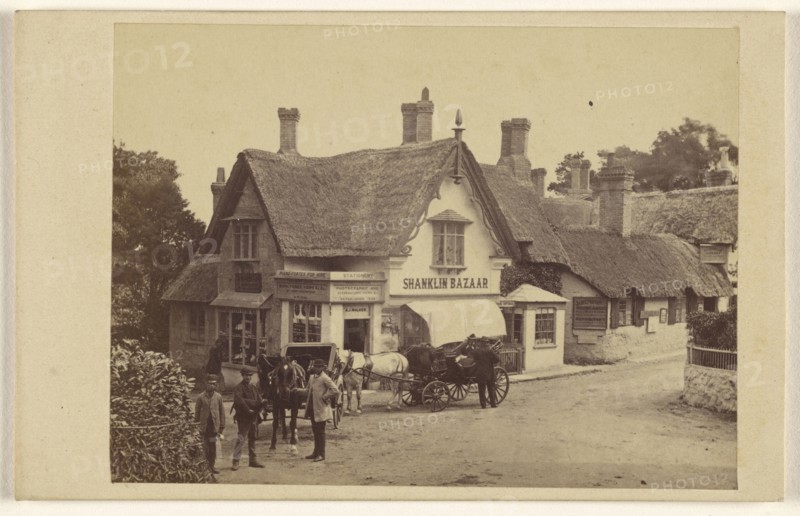 View of Shanklin Bazaar, Isle of Wight; Brown & Wheeler; 1865 - 1866; Albumen silver print