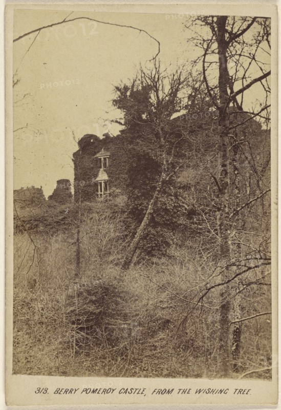 Berry Pomeroy Castle, From the Wishing Tree; William Spreat, British, active Exeter, England 1860s, about 1865; Albumen silver