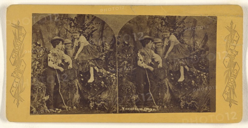 Vacation Days; about 1875; Albumen silver print