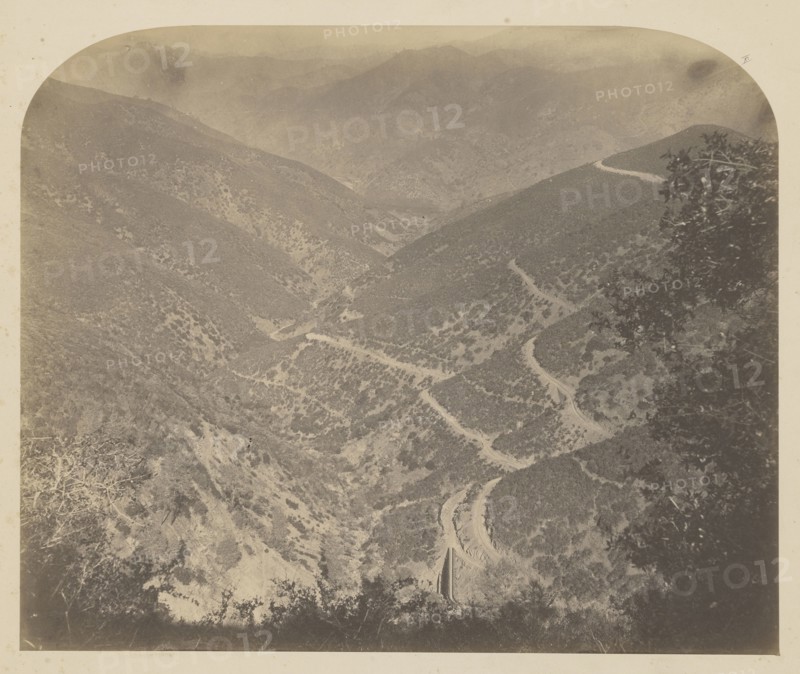 Hell's Hollow; Carleton Watkins, American, 1829 - 1916, 1860; Salted paper print; 34.5 x 41.8 cm 13 9,16 x 16 7,16 in