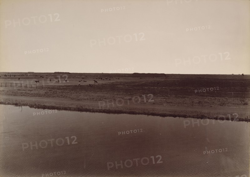 View on the Calloway Canal, near Poso Creek, Kern County; Carleton Watkins, American, 1829 - 1916, 1887; Albumen silver print