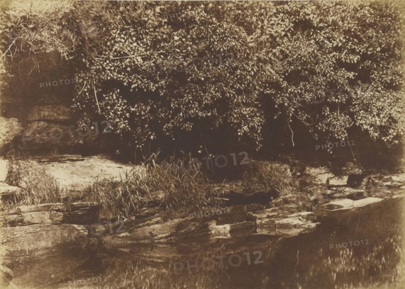 Burnside, Fife; Hill & Adamson, Scottish, active 1843 - 1848, Northumberland, England; 1843 - 1848; Salted paper print