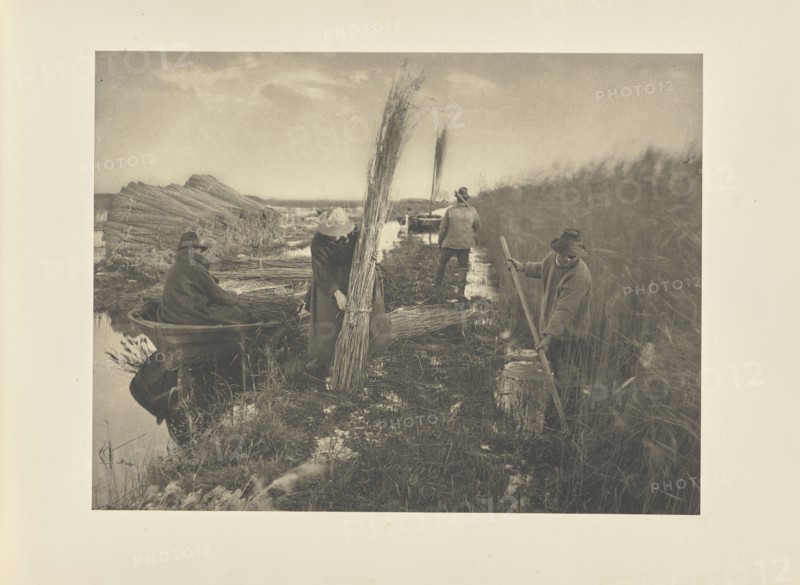 During the Reed-Harvest; Peter Henry Emerson, British, born Cuba, 1856 - 1936, London, England; 1886; Platinum print