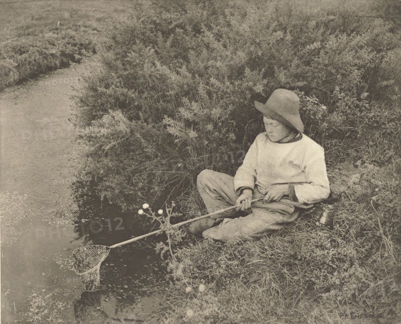 The Stickleback Catcher; Peter Henry Emerson, British, born Cuba, 1856 - 1936, London, England; 1887; Photogravure