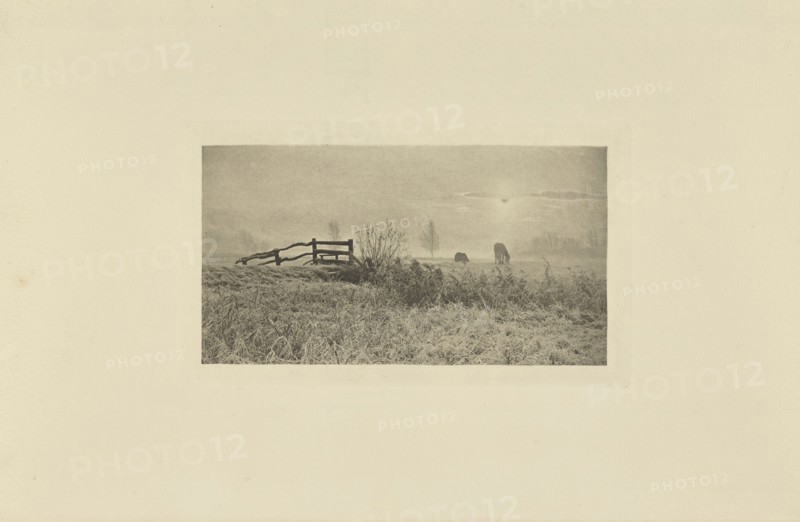 A Winter's Sunrise; Peter Henry Emerson, British, born Cuba, 1856 - 1936, London, England; 1895; Photogravure; 6.8 × 12.9 cm