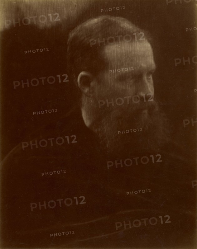 Portrait of Man with Beard; Julia Margaret Cameron, British, born India, 1815 - 1879, England; about 1874; Albumen silver print