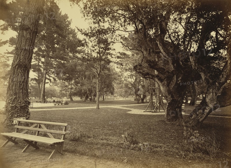 Monterey, California. Hotel Del Monte, Lawn View; Carleton Watkins, American, 1829 - 1916, Monterey, California, United States