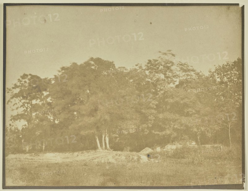 Landscape with Trees and Field; Attributed to M.H. Nevil Story-Maskelyne, British, 1823 - 1911, England; about 1845–1855