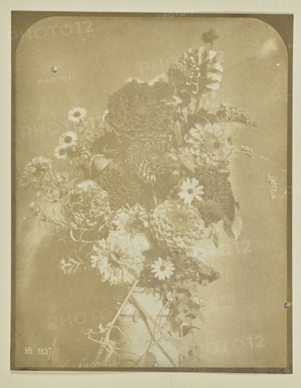 Vase of flowers; Hippolyte Bayard, French, 1801 - 1887, 1847; Salted paper print; 16.5 x 12.9 cm 6 1,2 x 5 1,16 in