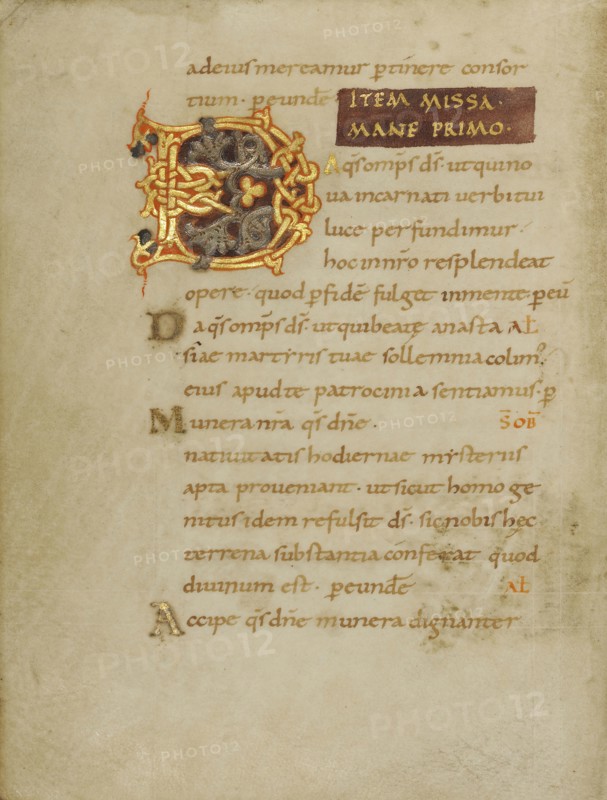 Decorated Initial D; Beauvais, probably, France; first quarter of 11th century; Tempera colors, gold, silver, and ink