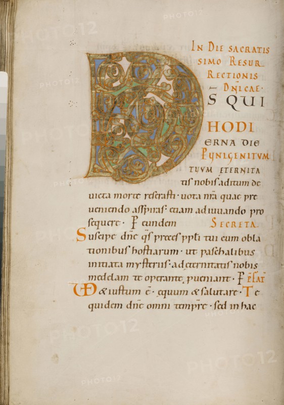 Decorated Initial D; about 1025 - 1050; Tempera colors, gold, and ink on parchment; Ms. Ludwig V 2, fol. 66v