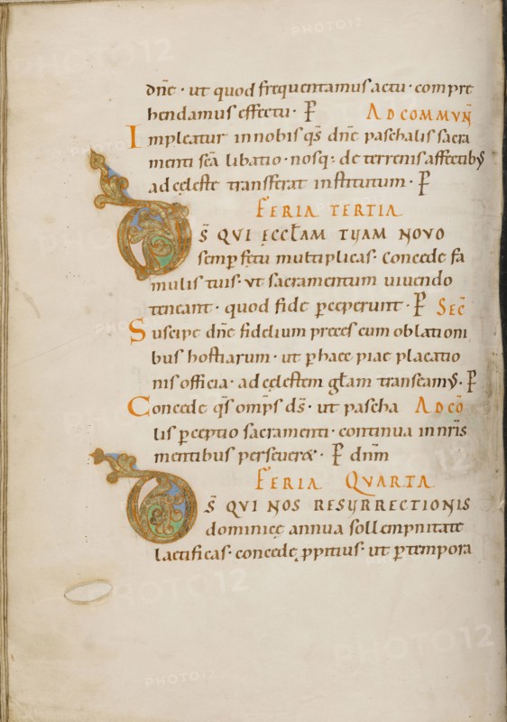Decorated Initial D; Decorated Initial D; about 1025 - 1050; Tempera colors, gold, and ink on parchment; Ms. Ludwig V 2