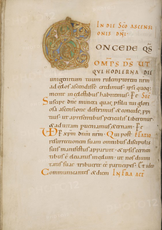 Decorated Initial C; about 1025 - 1050; Tempera colors, gold, and ink on parchment; Ms. Ludwig V 2, fol. 75v