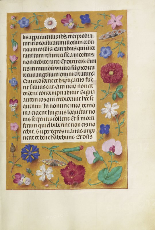Decorated Text Page; Ghent, Belgium; about 1510 - 1520; Tempera colors, gold, and ink on parchment; Leaf: 23.2 x 16.7 cm