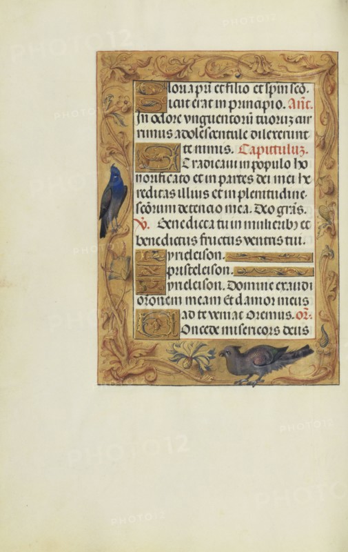 Decorated Text Page; Bruges, Belgium; about 1510 - 1520; Tempera colors, gold, and ink on parchment; Leaf: 23.2 × 16.7 cm