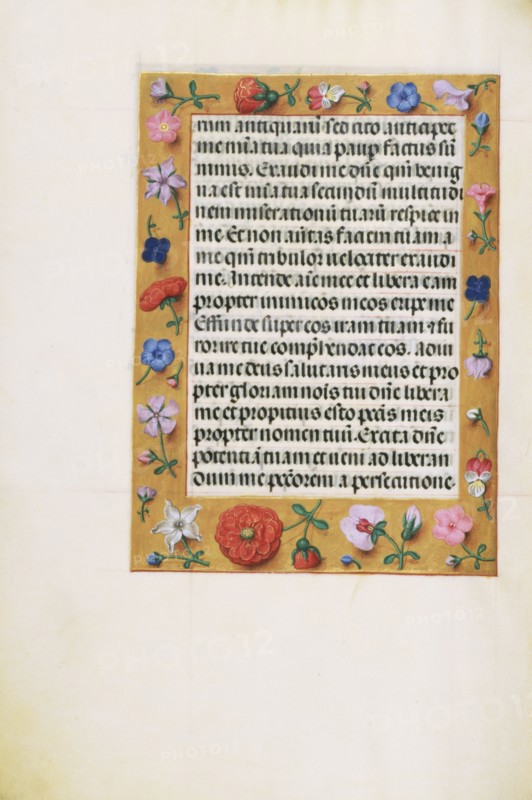 Decorated Text Page; Bruges, Belgium; about 1510 - 1520; Tempera colors, gold, and ink on parchment; Leaf: 23.2 × 16.7 cm