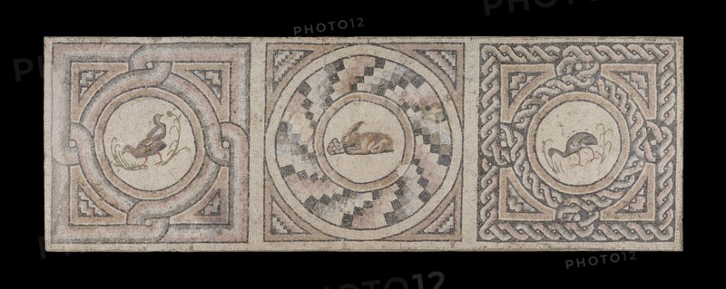 Post-Conservation photography