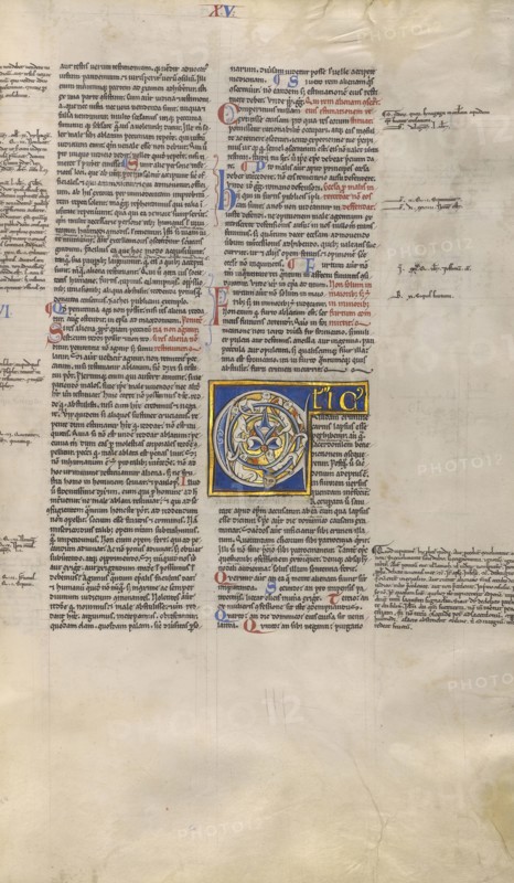 Inhabited Initial C; Paris, France; about 1170 - 1180; Tempera colors, gold leaf, and ink on parchment; Leaf: 44.3 x 29.1 cm