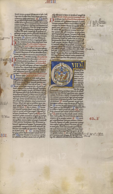 Inhabited Initial Q; Sens, or, France; about 1170 - 1180; Tempera colors, gold leaf, and ink on parchment; Leaf: 44.3 x 29.1 cm