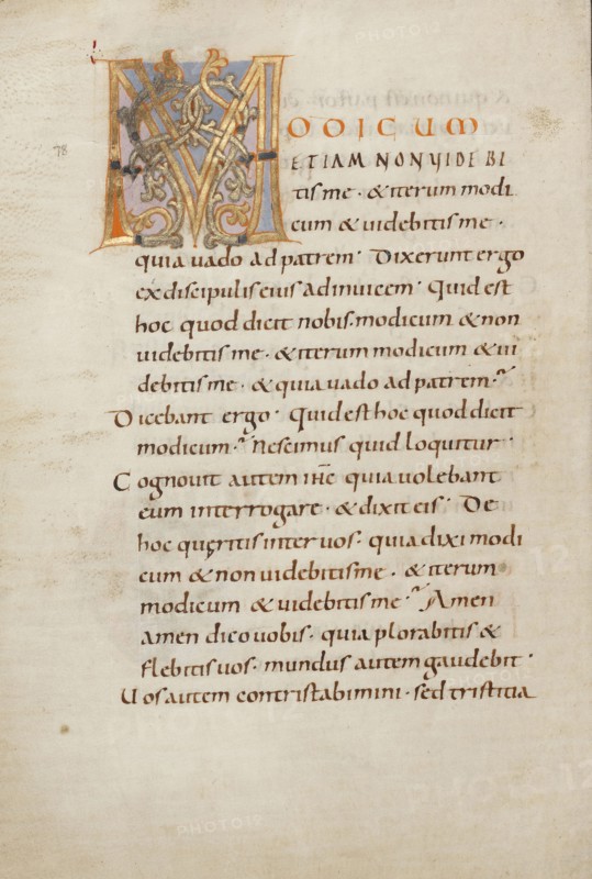 Decorated Initial M; Saint Gall, Switzerland; late 10th century; Tempera colors, gold paint, silver paint, and ink on parchment