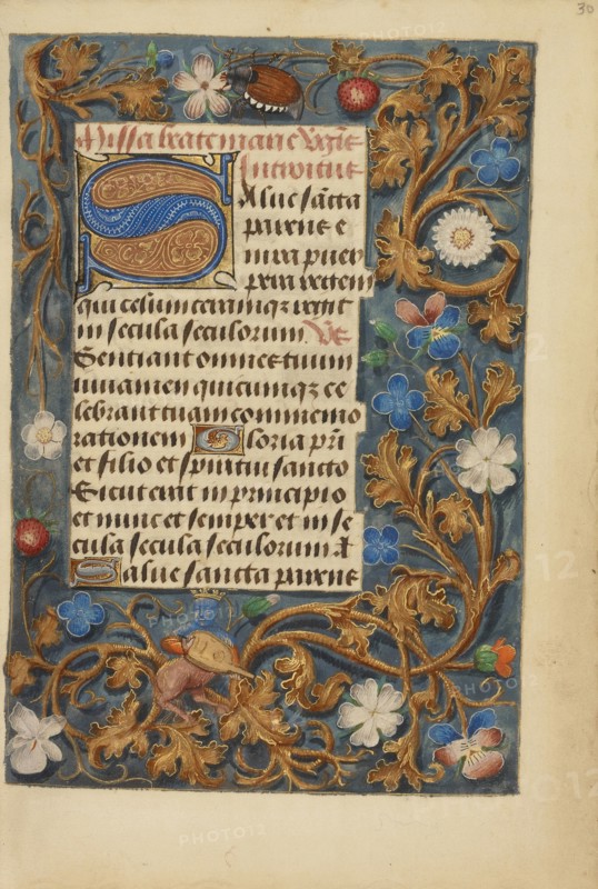 Decorated Initial S; Bruges, Belgium; about 1480 - 1485 ?; Tempera colors and gold on parchment; Leaf: 20.5 x 14.8 cm