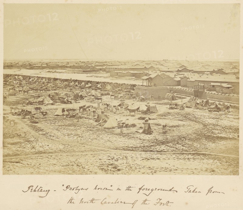 Pehtang,  Probyn's Horse,  in the Foreground; Felice Beato, 1832 - 1909, China; 1860; Albumen silver print