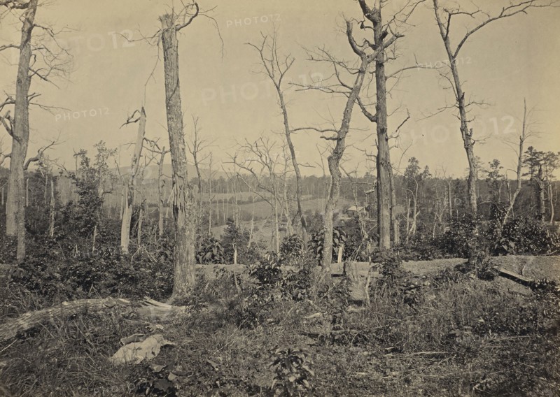 Battle Ground of Resacca, Georgia, No. 3; George N. Barnard, American, 1819 - 1902, New York, United States; negative