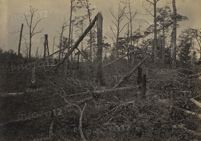 The  Hell Hole  New Hope Church, Georgia; George N. Barnard, American, 1819 - 1902, New York, United States; negative