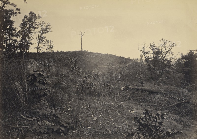 Pine Mountain; George N. Barnard, American, 1819 - 1902, New York, United States; negative about 1865; print 1866; Albumen