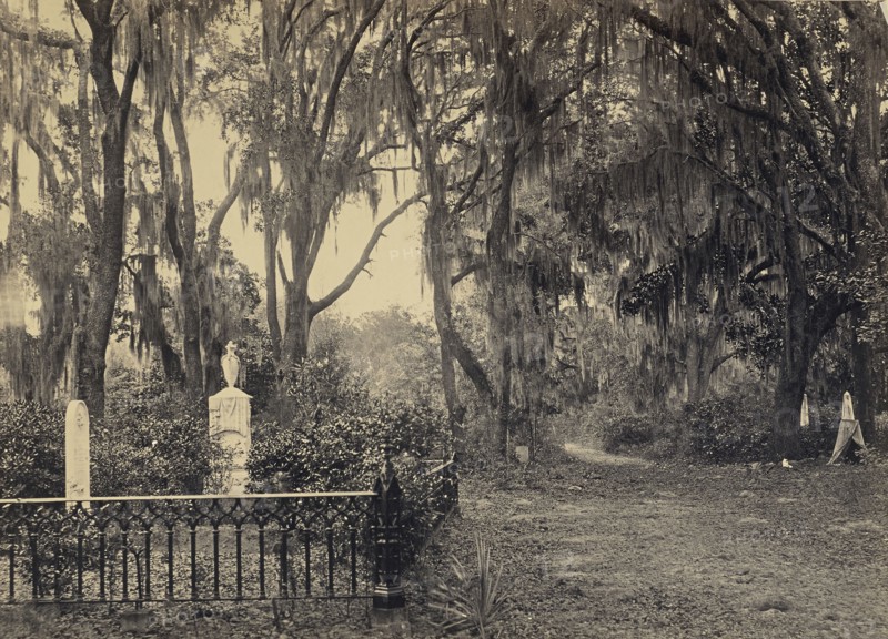 Buen-Ventura Savannah, Georgia; George N. Barnard, American, 1819 - 1902, New York, United States; negative about 1865; print