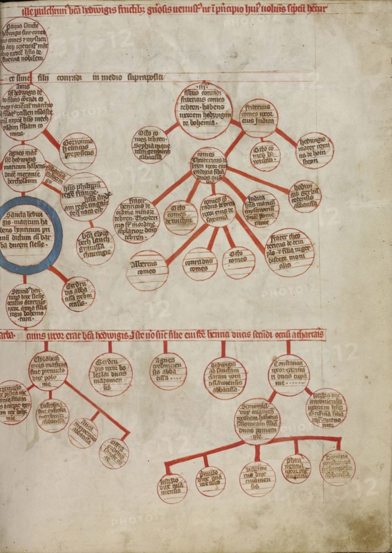 Genealogy; Unknown maker; Silesia, Poland; 1353; Tempera colors, colored washes, and ink on parchment; Leaf: 34.1 x 24.8 cm