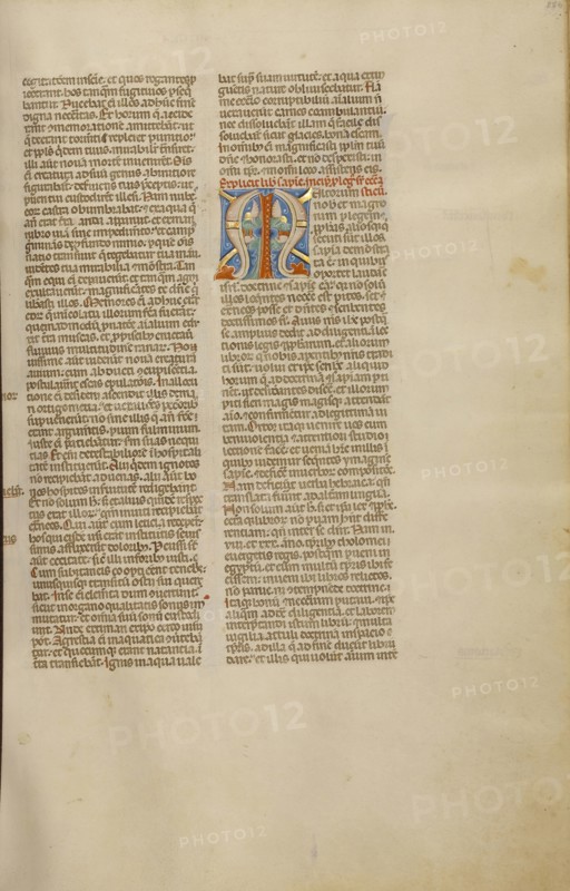 Decorated Initial M; Bologna, Emilia-Romagna, Italy; about 1280 - 1290; Tempera colors, gold leaf, and ink on parchment