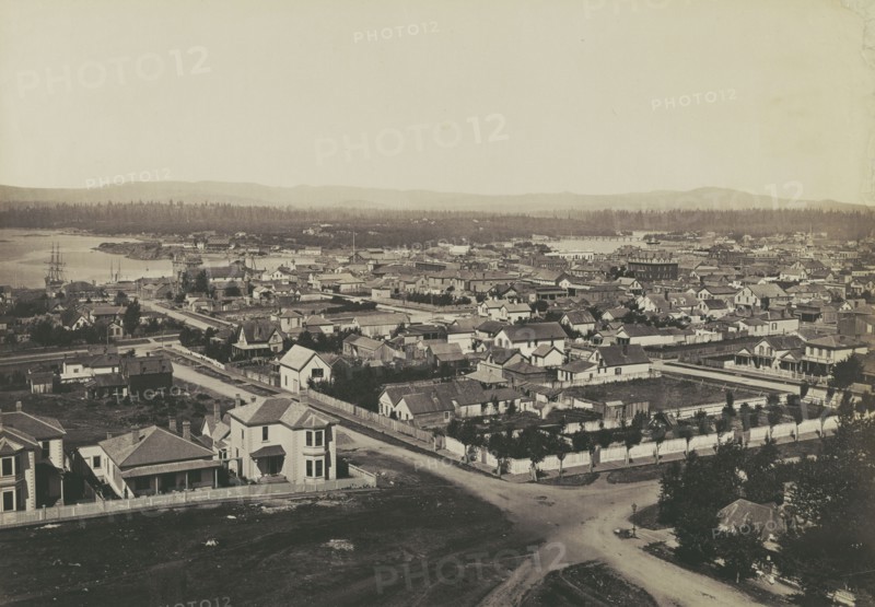 View in San Gabriel Valley, L.A. Co., Cal; Carleton Watkins, American, 1829 - 1916, San Gabriel Valley, California, Los Angeles