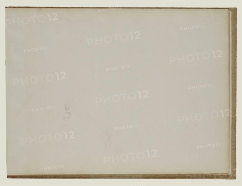 Sketch of Man's Head; Edgar Degas, French, 1834 - 1917, about 1877; Graphite