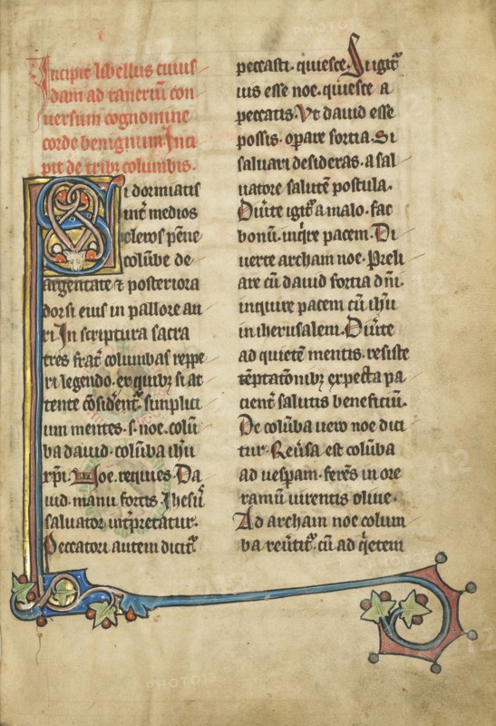 Decorated Initial S; Thérouanne ?, France, formerly Flanders, fourth quarter of 13th century, after 1277, Tempera colors, pen