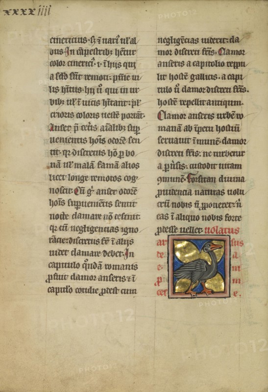 A Heron; Thérouanne ?, France, formerly Flanders, fourth quarter of 13th century, after 1277, Tempera colors, pen and ink
