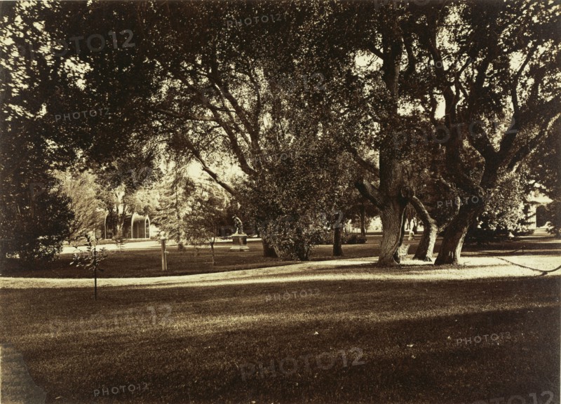 Thurlow Lodge - Lawn View; Carleton Watkins, American, 1829 - 1916, San Mateo, California, United States; 1874; Albumen silver
