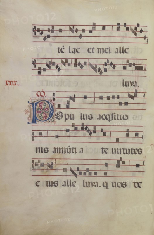 Decorated Initial P; Antonio da Monza, Italian, active about 1480 - 1505, Rome, Lazio, Italy; late 15th or early 16th century