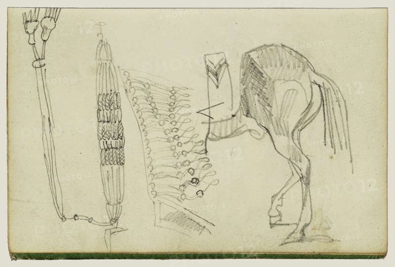 Horse Studies and Tassels; Théodore Géricault, French, 1791 - 1824, 1812 - 1814; Graphite; 15.2 x 10.6 cm, 6 x 4 3,16 in