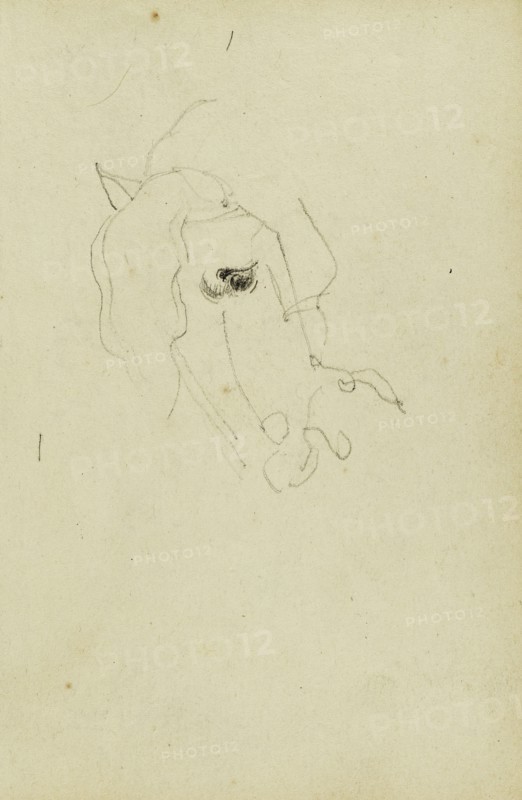 Horse Head; Théodore Géricault, French, 1791 - 1824, 1812 - 1814; Graphite; 15.2 x 10.6 cm, 6 x 4 3,16 in