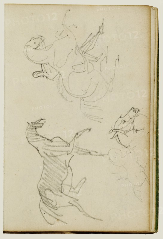 Three Horse Studies; Théodore Géricault, French, 1791 - 1824, 1812 - 1814; Graphite; 15.2 x 10.6 cm