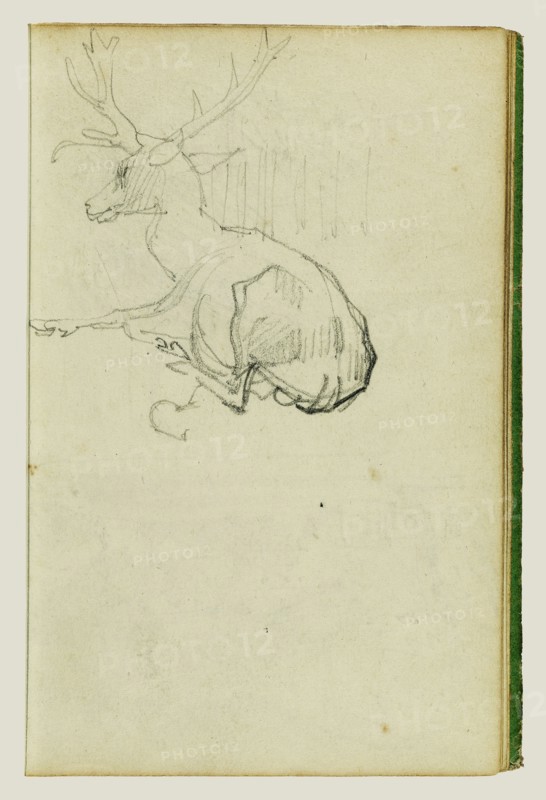 Seated Stag; Théodore Géricault, French, 1791 - 1824, 1812 - 1814; Graphite; 15.2 x 10.6 cm, 6 x 4 3,16 in